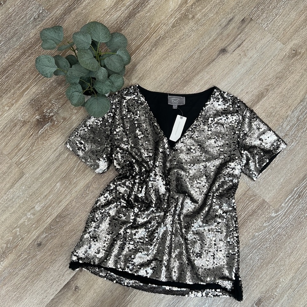 Anthropologie Vanessa Virginia Silver Sequin V Neck Top Size Xs NWT